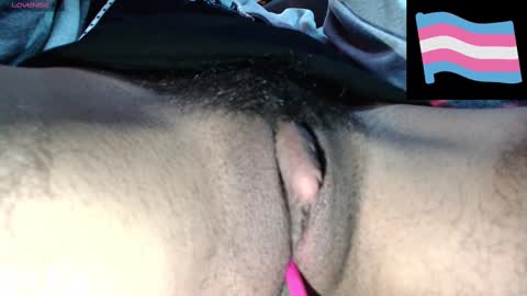 Snapshot of zeldrissss chatting on 12/03/24, 04:17 Zeldris online show from 12/03/24, 04:17