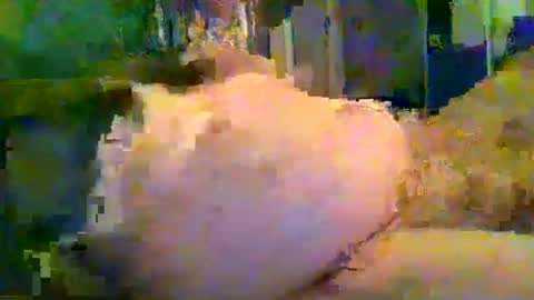 zero0zero123 online show from 09/27/25, 09:53