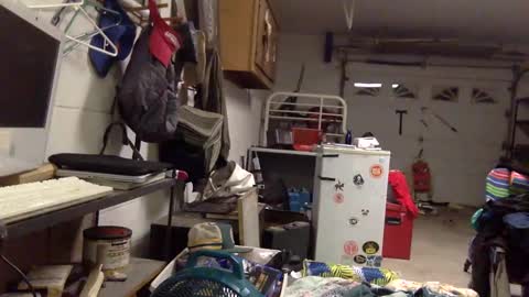 ziggyyz online show from 02/24/25, 11:21