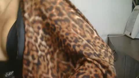 Ziyaa online show from 02/22/26, 04:13