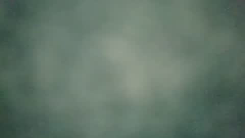 Snapshot of zobilov chatting on 12/20/24, 06:50 zobilov online show from 12/20/24, 06:50