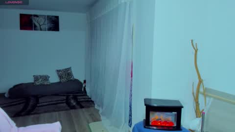 new count    online show from 11/06/25, 10:43