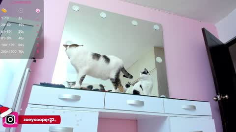 zoey  Independent model online show from 12/30/24, 08:15