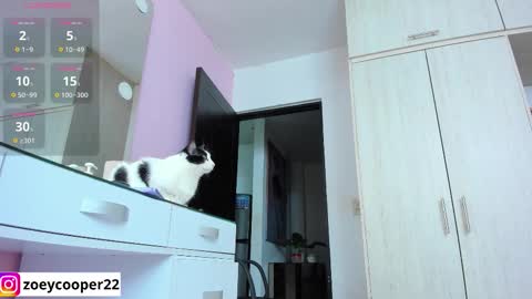 zoey  Independent model online show from 11/12/25, 01:39