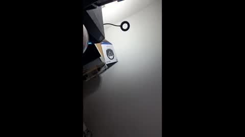 zorrodelavega online show from 04/20/26, 09:16