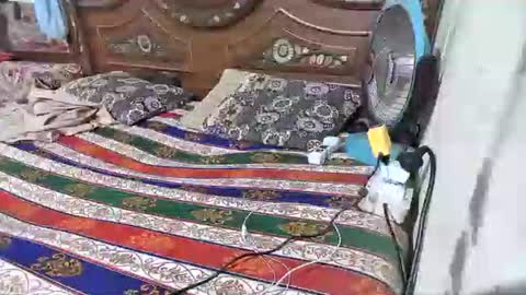 zoyakhan803 online show from 02/12/26, 10:05