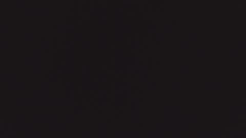 ZURY   online show from 10/22/25, 11:32