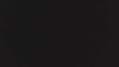 ZURY   online show from 10/24/25, 11:28