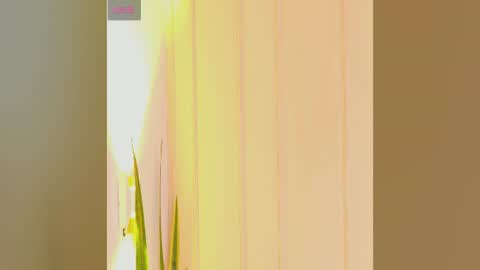 Zara online show from 07/25/26, 07:22