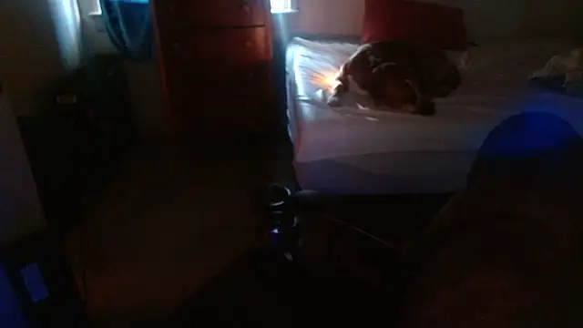 DADDY KANE8--- online show from 01/17/26, 09:29