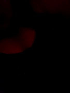 Snapshot of FerLu8 chatting on 02/26/26, 04:00 FerLu8 online show from 02/26/26, 04:00