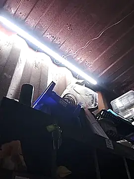 rajstrip12650 online show from 12/18/25, 09:26