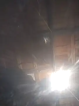 Spoonish online show from 01/11/26, 08:08