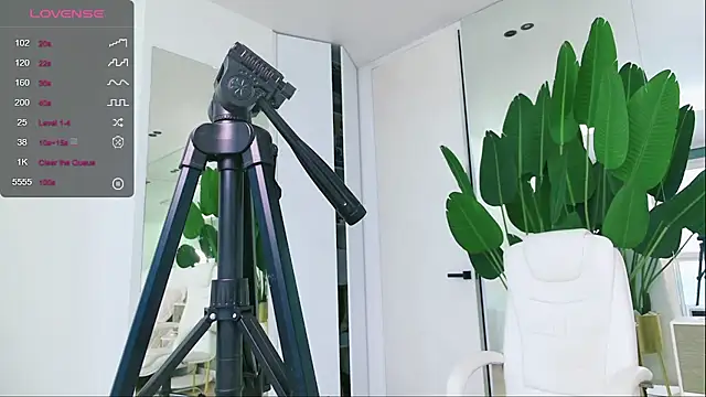 wowEva online show from 01/31/25, 11:56