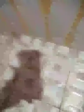 Sanjaymartin29 online show from 01/16/25, 01:37