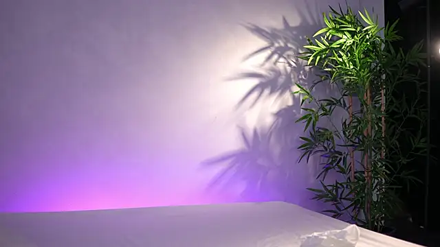 ArtTeasee online show from 04/03/26, 05:27