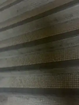 wSilEliaXm online show from 09/16/25, 02:56