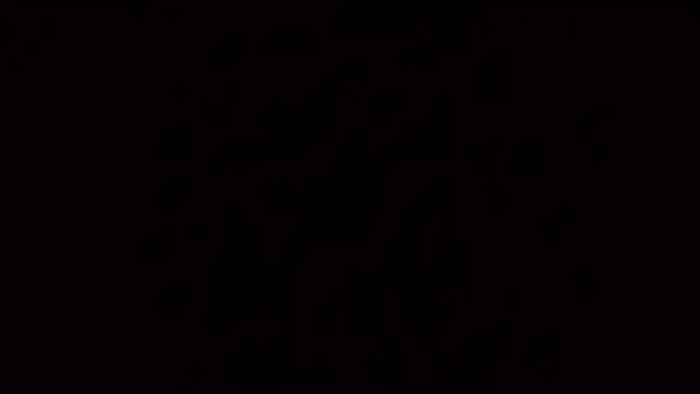 PartyguySLC78 online show from 02/26/25, 12:27