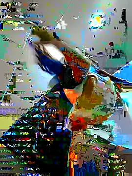 Sam Sara online show from 02/16/25, 05:37