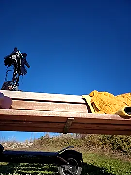 bellapaty online show from 12/03/25, 09:51