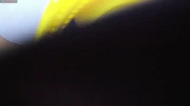 Alice bloom  online show from 01/13/26, 05:57