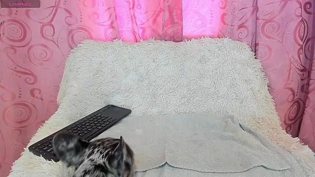 iisabella gonzalez online show from 09/13/25, 08:08