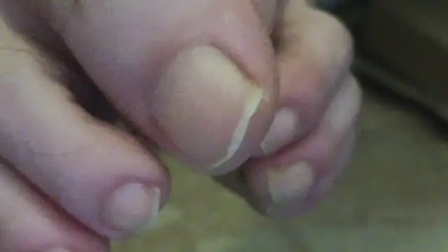 Snapshot of curiosillo83 chatting on 06/02/26, 02:35 curiosillo83 online show from 06/02/26, 02:35