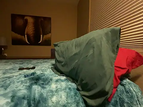 Snapshot of Bwcjoshbanks chatting on 01/31/25, 05:30 Bwcjoshbanks online show from 01/31/25, 05:30