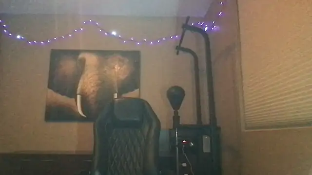 Snapshot of Bwcjoshbanks chatting on 05/18/26, 05:13 Bwcjoshbanks online show from 05/18/26, 05:13