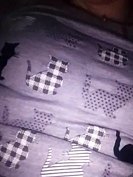 Snapshot of bruna_safadinhaa chatting on 02/17/25, 09:56 bruna safadinhaa online show from 02/17/25, 09:56