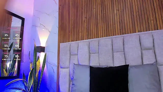 Ambar Fox29 online show from 02/19/26, 03:13