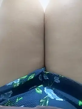 pinaxpack1 online show from 11/02/25, 03:09