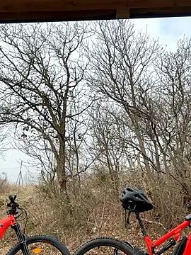 petrouchkaaa  online show from 03/02/26, 09:38