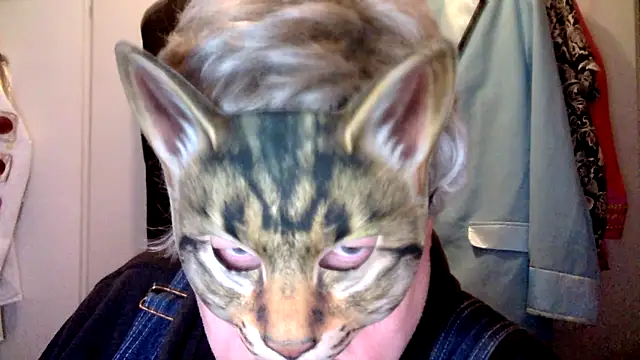 Snapshot of Sigorius chatting on 01/06/26, 01:09 Sigorius online show from 01/06/26, 01:09