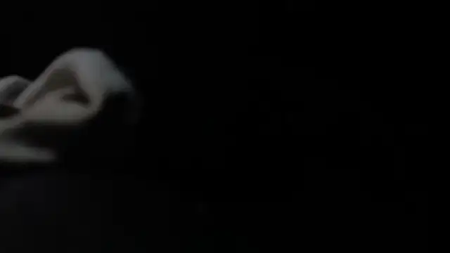 VARGAcz online show from 02/04/26, 01:50