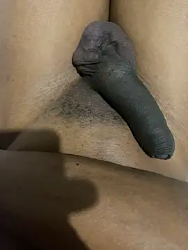 Snapshot of xforx chatting on 02/06/26, 12:37 xforx online show from 02/06/26, 12:37