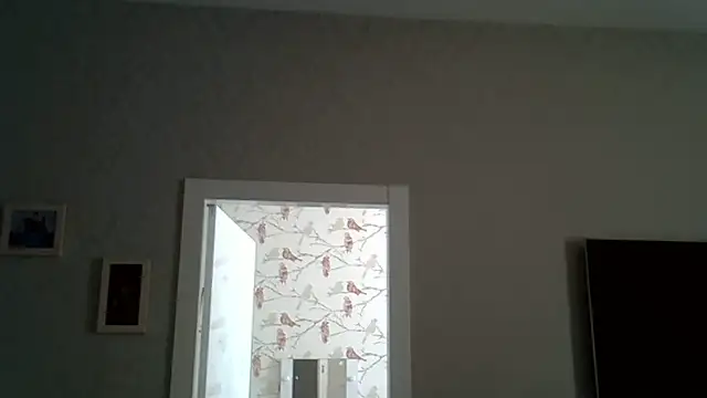 Snapshot of ZarinaSwift chatting on 06/17/26, 09:45 ZarinaSwift online show from 06/17/26, 09:45