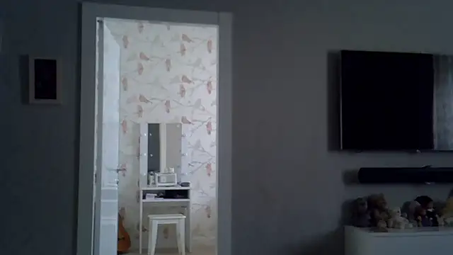 Snapshot of ZarinaSwift chatting on 07/04/26, 03:02 ZarinaSwift online show from 07/04/26, 03:02