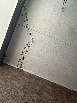 AmmyHot online show from 02/23/26, 05:05