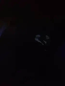 Hotbodyscottie online show from 03/13/26, 09:05