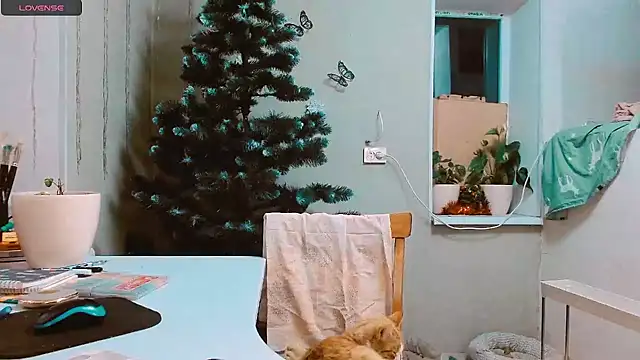 RosaJil online show from 12/17/24, 03:06