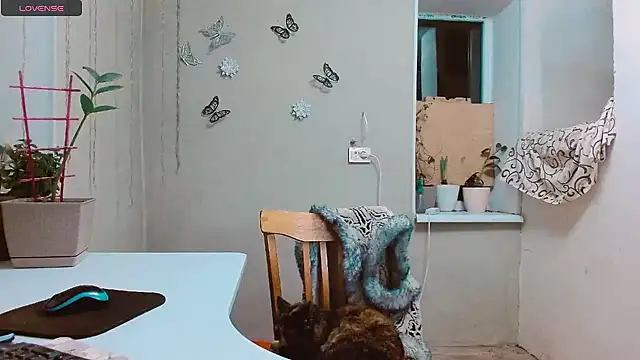 RosaJil online show from 01/28/25, 04:08