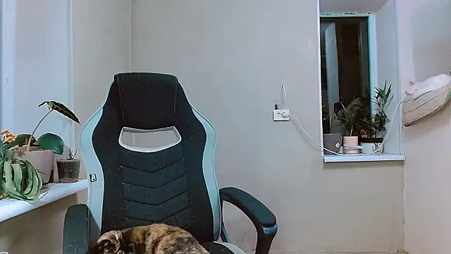 RosaJil online show from 11/01/25, 03:58