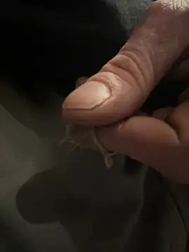 Snapshot of Followthepiper chatting on 02/05/25, 02:40 Followthepiper online show from 02/05/25, 02:40