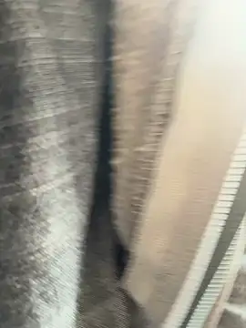 Snapshot of Followthepiper chatting on 03/20/25, 07:35 Followthepiper online show from 03/20/25, 07:35