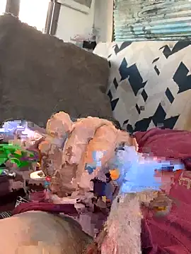 Snapshot of Followthepiper chatting on 09/13/25, 10:31 Followthepiper online show from 09/13/25, 10:31