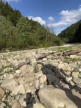 artXhibitor online show from 09/29/25, 01:16