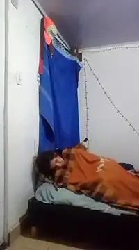 Cameron puppy online show from 03/11/25, 06:53