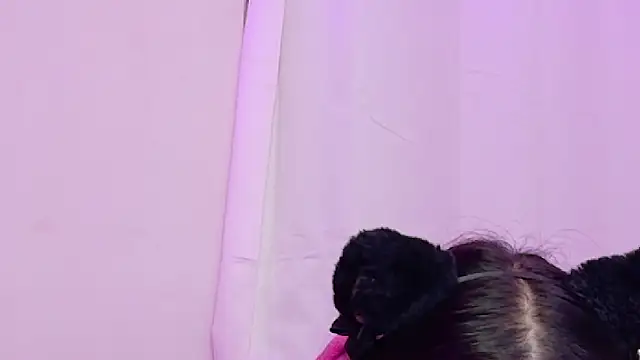 Sachi Meow online show from 07/14/26, 02:05