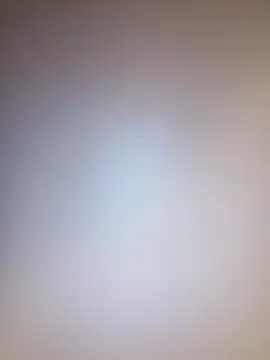 Snapshot of Treemandude chatting on 09/08/25, 04:50 Treemandude online show from 09/08/25, 04:50